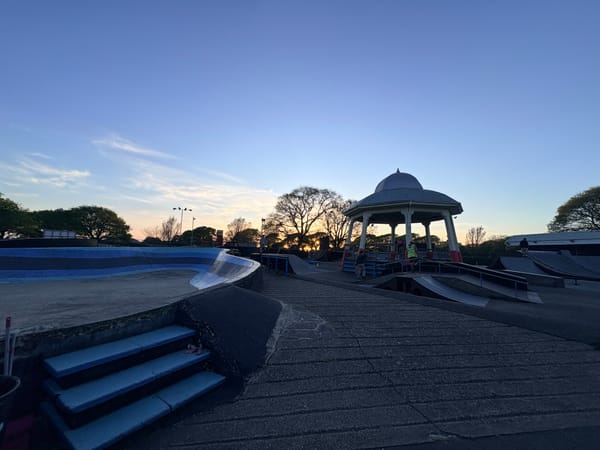 Outcomes: Sustainable Conservation Trust Internship